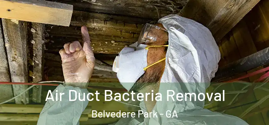 Air Duct Bacteria Removal Belvedere Park - GA