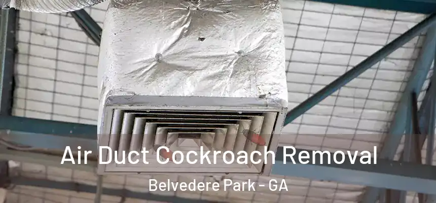 Air Duct Cockroach Removal Belvedere Park - GA