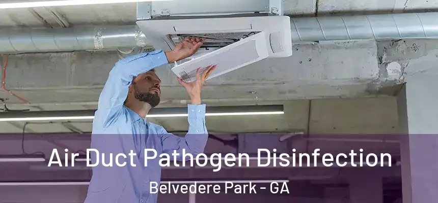 Air Duct Pathogen Disinfection Belvedere Park - GA