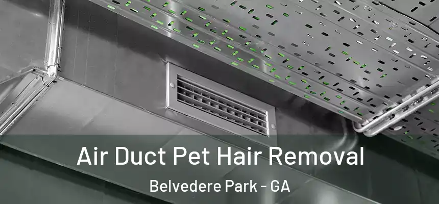  Air Duct Pet Hair Removal Belvedere Park - GA
