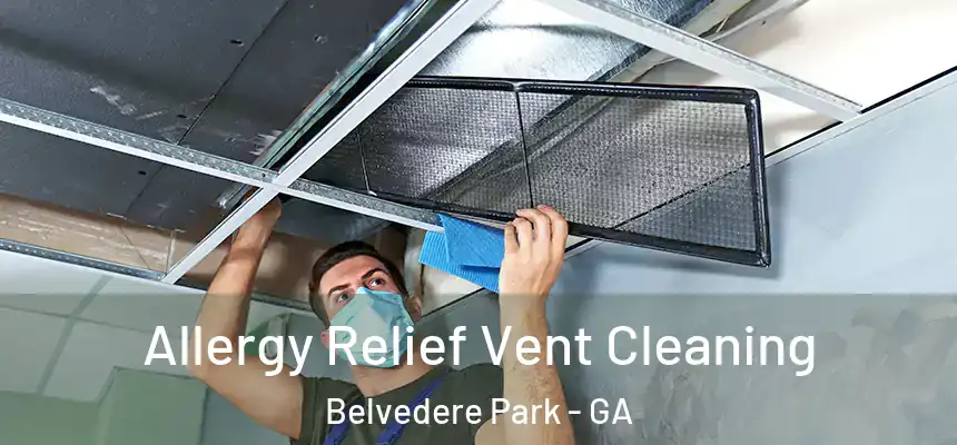 Allergy Relief Vent Cleaning Belvedere Park - GA