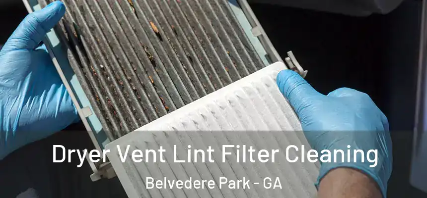 Dryer Vent Lint Filter Cleaning Belvedere Park - GA