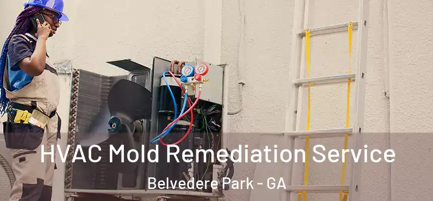  HVAC Mold Remediation Service Belvedere Park - GA