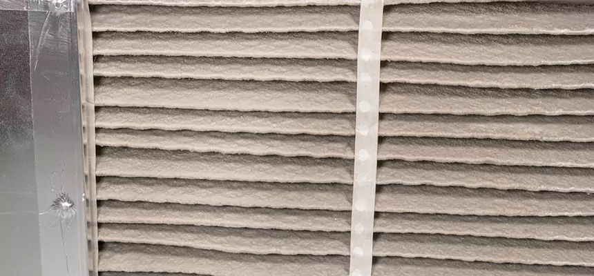 Mobile Car AC Filter Replacement in Belvedere Park