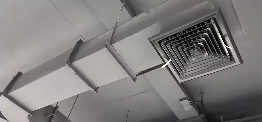 Restorative Allergy Relief Vent Cleaning – Coil, Blower & Housing Detail in Belvedere Park