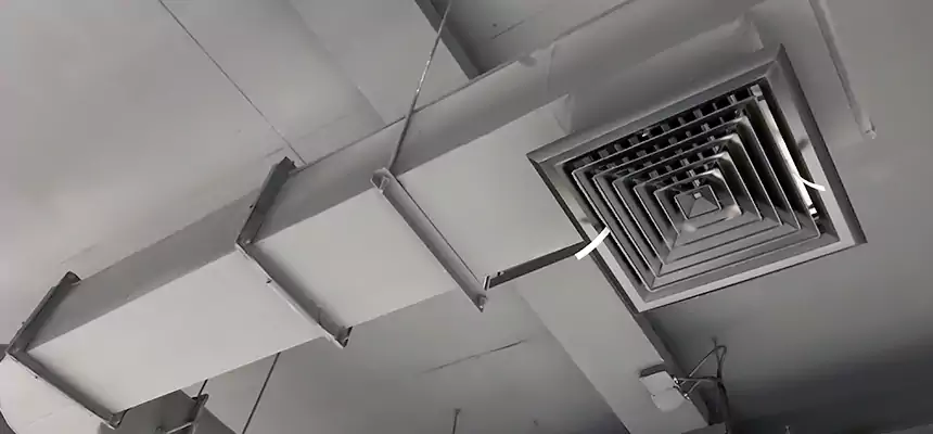 Our Pest Removal From Ducts Services in Belvedere Park, GA