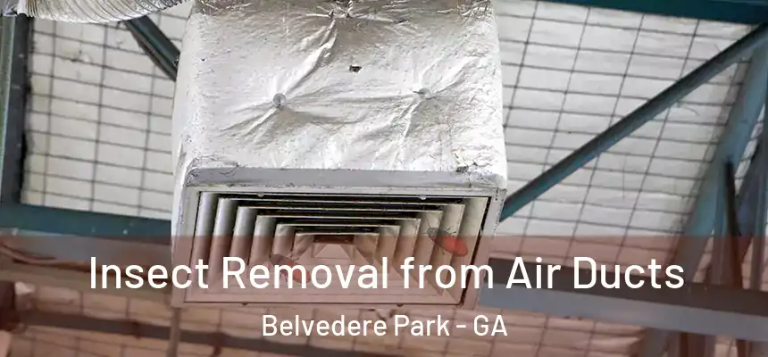  Insect Removal from Air Ducts Belvedere Park - GA