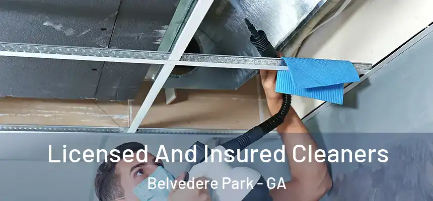 Licensed And Insured Cleaners Belvedere Park - GA