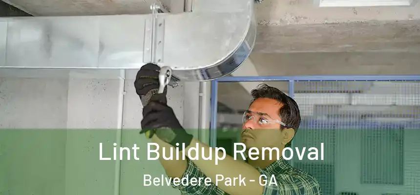 Lint Buildup Removal Belvedere Park - GA
