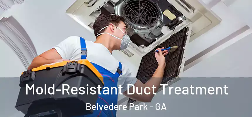 Mold-Resistant Duct Treatment Belvedere Park - GA