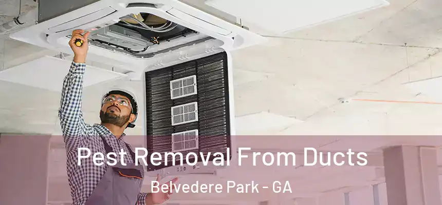 Pest Removal From Ducts Belvedere Park - GA