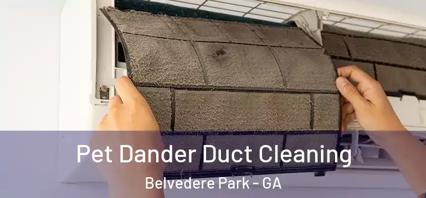 Pet Dander Duct Cleaning Belvedere Park - GA