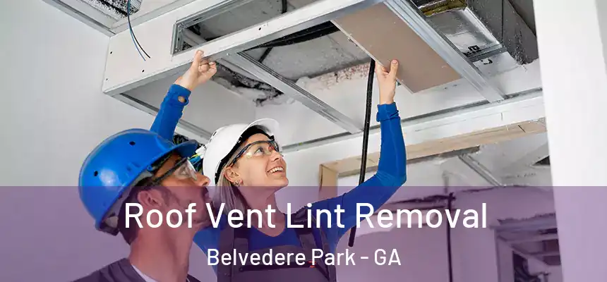  Roof Vent Lint Removal Belvedere Park - GA