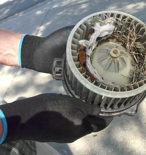 About Air Duct Mice Removal in Belvedere Park, GA