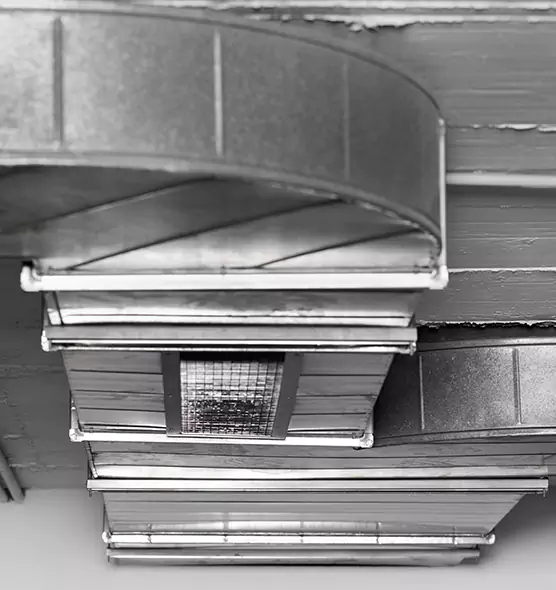 Professional Air Duct Pest Removal in Belvedere Park, GA