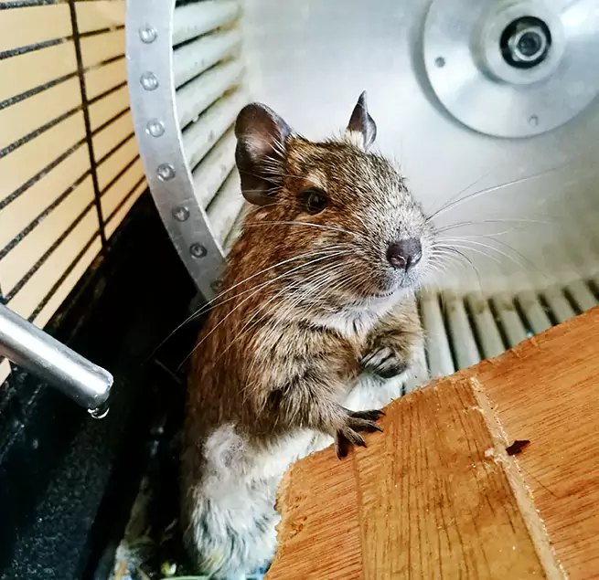 Why Homeowners & Businesses Trust Us Belvedere Park, GA?