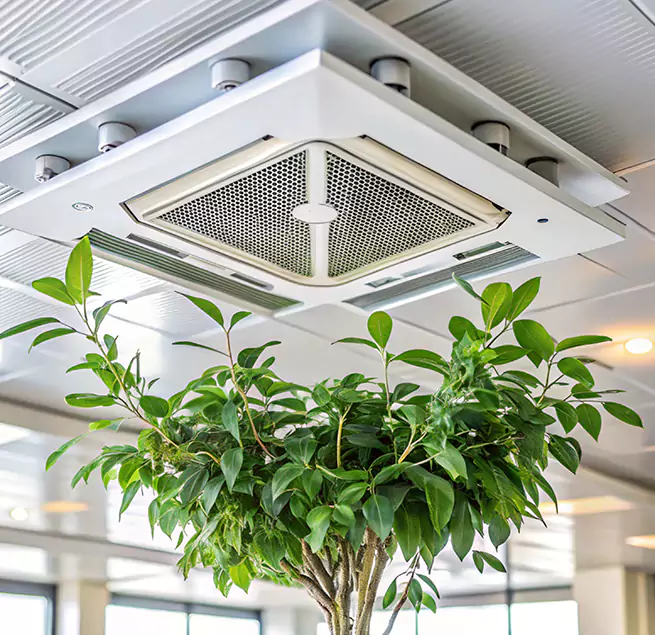 Why Homeowners & Businesses Trust Us in Belvedere Park, GA?