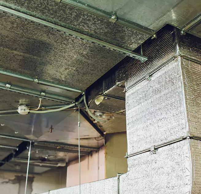 Why Homeowners & Businesses Trust Us in Belvedere Park, GA?